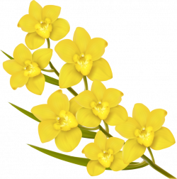 Elegant yellow flowers art background vector 02 [преобразованный ...