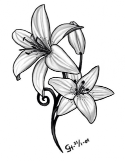 Daffodil | March Birth Flower | Tattoo Ideas - Lilly | May ...
