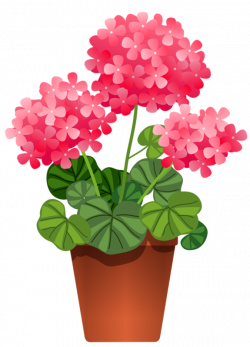 Potted Plants And Flowers Png. Beautiful Hd Plant Pot Bonsai ...