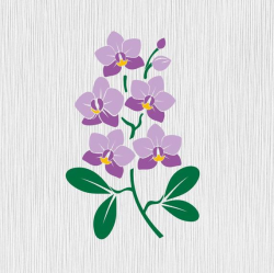ORCHID SVG, orchid, flower svg, orchid clipart, orchid silhouette, orchid  vector, svg cutting files, orchids svg, svg bundle, flower clipart