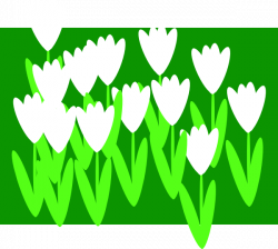 White Cartoon Tulips Clip Art at Clker.com - vector clip art online ...