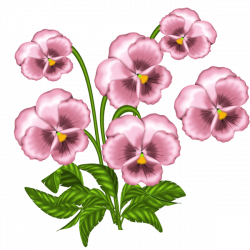 0_85b60_46a74565_orig (600×600) | Flores | Pinterest | Flower ...