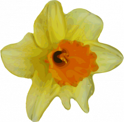 Daffodil graphics - techFlourish collections