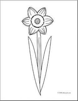 Clip Art: Daffodil Single (coloring page) I abcteach.com ...