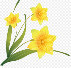 Flowers Clipart Background clipart - Daffodil, Flower ...