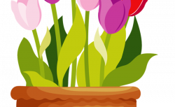 Tulip Garden Clip Art – Free Cliparts