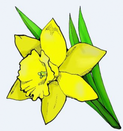 Clipart: Spring Tulip Daffodil Flower Singles by HeatherSArtwork