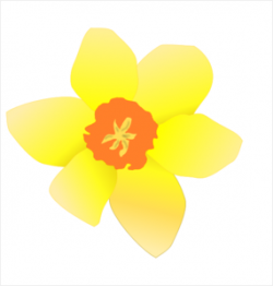 Free Daffodil Clip Art, Download Free Clip Art, Free Clip ...