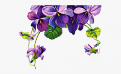 Pansy Clipart Violet Rose - Purple Flower Borders Png ...