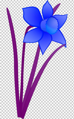 Daffodil PNG, Clipart, Blog, Blue, Cobalt Blue, Cut Flowers ...