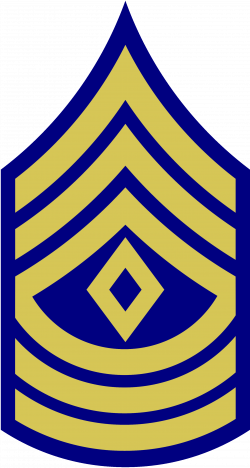 File:US Army 1948 1SGT Non Combat.png | Military Wiki | FANDOM ...