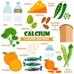 Calcium rich foods for your healthy bones - TellyReviews