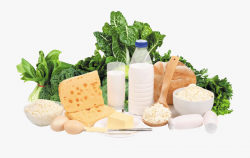 Dairy Clipart Calcium Food - Calcium Food, Cliparts ...