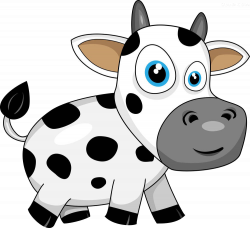 Cattle Calf Drawing Illustration - Cartoon cow material 1000*914 ...