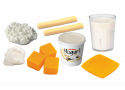 Dairy Foods Model Kit