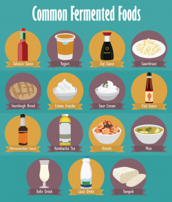 At what point does fermented food or drink become too ...