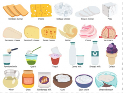 Milk Dairy Products Food Group Health Food PNG, Clipart ...