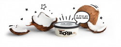 coconut – noosa