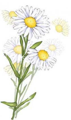 Free Romashka daisy Flower 10 Clipart and Vector Graphics - Clipart.me