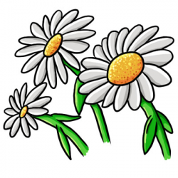 Free Free Daisy Images, Download Free Clip Art, Free Clip Art on ...