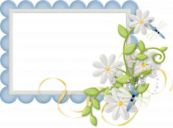 Cute Large Design Blue Transparent Frame with Daisies | Gallery ...