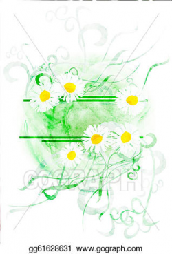 Drawing - Watercolor banner with chamomiles or daisies ...