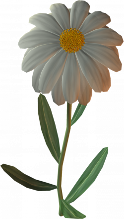 German chamomile Flower Common daisy Clip art - Blumen 1332*2349 ...