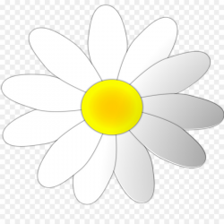 Circle Flower clipart - Flower, Daisy, Circle, transparent ...