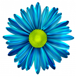 Daisy Clipart Blue Daisy Free collection | Download and share Daisy ...