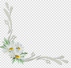 Flowers corners, white daisy frame art transparent ...