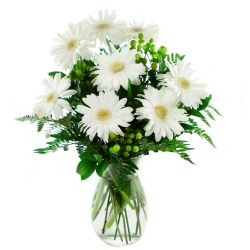 KaBloom Perla Daisies Fresh Flower Arrangement - with Vase ...