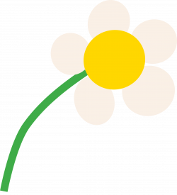Cartoon Daisy Flower Choice Image - Flower Wallpaper HD
