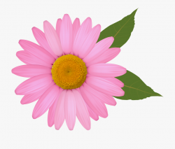 Pink Daisy Png Clipart Image - Transparent Background Daisy ...