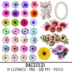 Daisy Clipart, Daisy Clip Art, Clipart Daisy, Clip Art Daisy, Daisies  Clipart, Daisies Clip Art, Clipart Daisies, Daisy Flowers