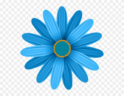 Blue Flower Transparent Png Clip Art Image - African Daisy ...