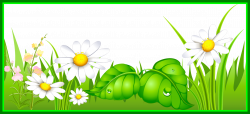 Unbelievable And Grass Png Picture Clipart Of Daisy Flower ...