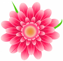 28+ Collection of Transparent Flower Clipart | High quality, free ...