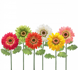 fleurs,flores,flowers,bloemen,png | Clip Art | Pinterest | Flowers ...