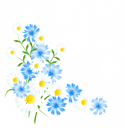 Daisies clipart corner ~ Frames ~ Illustrations ~ HD images ~ Photo ...