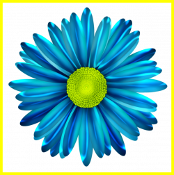 Fascinating Pin By Karen Eldridge On Flower Clipart Blue Pics Of ...