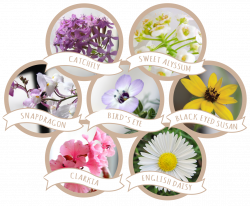 Seed Types & Blends | Botanical PaperWorks