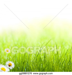 Stock Illustration - Green grass with daisy and ladybug on ...