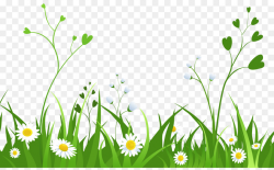 Green Grass Background clipart - Flower, Grass, Daisy ...