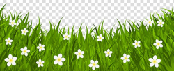 White daisy flower field illustration, Red Easter egg ...
