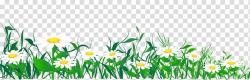 Common daisy , Daisies and Grass , white daisies template ...