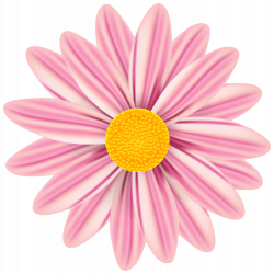 Beautiful Daisy PNG Clip Art Image | Gallery Yopriceville - High ...