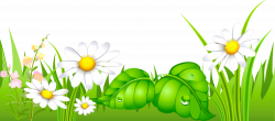 Grass with Daisies Ground Clipart | Gallery Yopriceville - High ...