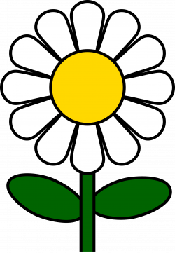 Daisy Flower Cliparts - Cliparts Zone