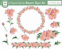 Pink Daisies ClipArt Floral Illustration, Clip Art, Flower, Transparent  background Botanical Digital Download - 1359
