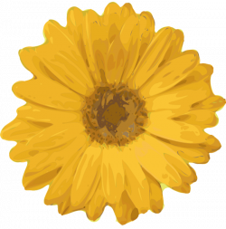 Image - Flower clipart.png | The Perks of Being a Wallflower Wiki ...